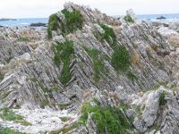 Albums/20060200-New Zealand 2006/20060318-Kaikiura/22